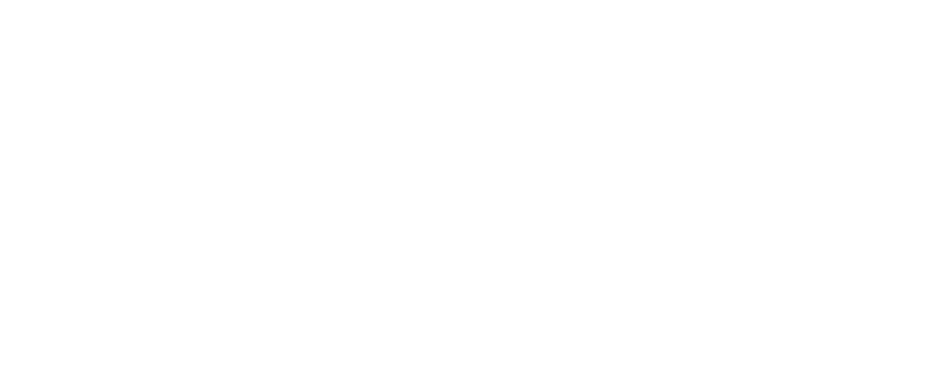 Newton Fitness